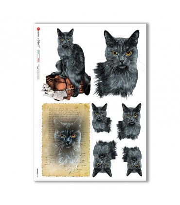 ANIMALS-0155. Animals Rice Paper for decoupage.