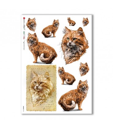 ANIMALS-0156. Animals Rice Paper for decoupage.