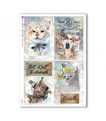ANIMALS-0159. Animals Rice Paper for decoupage.