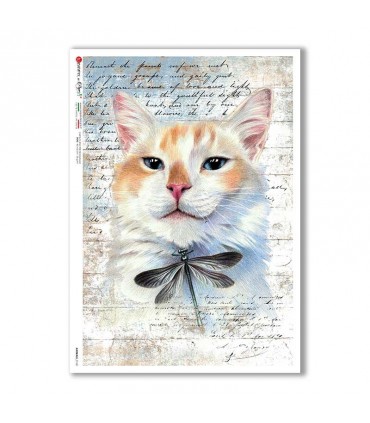 ANIMALS-0160. Carta di riso animali per decoupage.