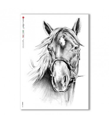 ANIMALS-0165. Carta di riso animali per decoupage.