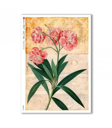 FLOWERS-0355. Carta di riso fiori per decoupage.