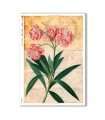 FLOWERS-0355. Carta di riso fiori per decoupage.