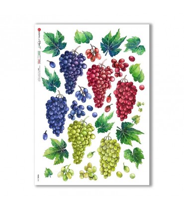 FOOD-0141. Papel de Arroz comida para decoupage.