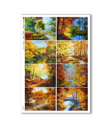 VIEWS-0164. Carta di Riso paesaggi per decoupage