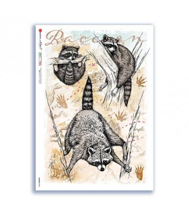 ANIMALS-0169. Animals Rice Paper for decoupage.