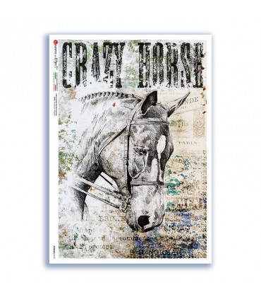 ANIMALS-0179. Carta di riso animali per decoupage.