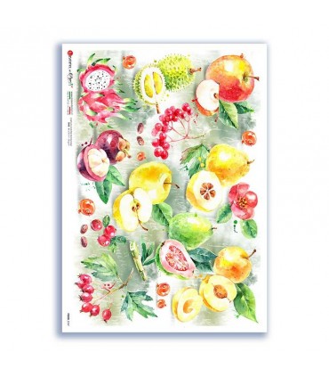 FOOD-0147. Papel de Arroz comida para decoupage.