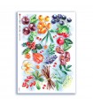 FOOD-0149. Carta di riso cucina per decoupage.