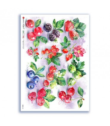 FOOD-0150. Carta di riso cucina per decoupage.