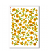 FLOWERS-0001. Carta di riso fiori per decoupage.