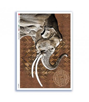 ANIMALS-0187. Carta di riso animali per decoupage.