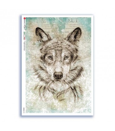 ANIMALS-0190. Animals Rice Paper for decoupage.