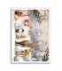 ANIMALS-0192. Papel de Arroz animales para decoupage.