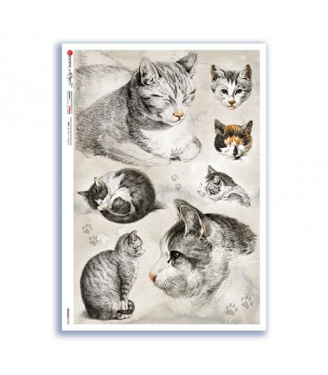 ANIMALS-0196. Carta di riso animali per decoupage.