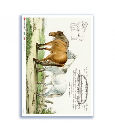 ANIMALS-0197. Carta di riso animali per decoupage.