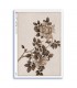 FLOWERS-0378. Carta di riso fiori per decoupage.