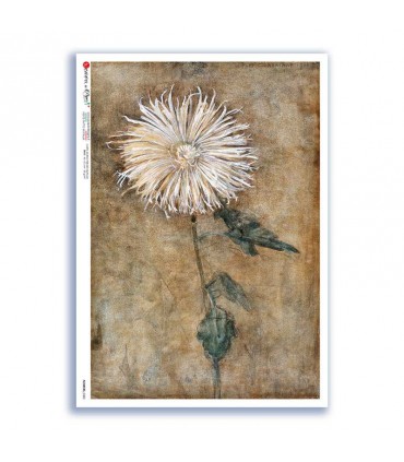 FLOWERS-0382. Papel de Arroz flores para decoupage.