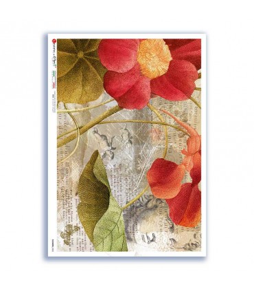 FLOWERS-0383. Rice Paper flowers for decoupage.