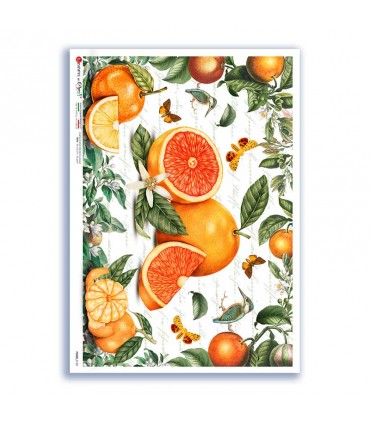 FOOD-0152. Carta di riso cucina per decoupage.