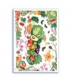 FOOD-0153. Carta di riso cucina per decoupage.