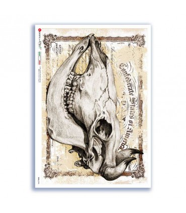 SKULL-0026. Carta di riso teschi per decoupage.