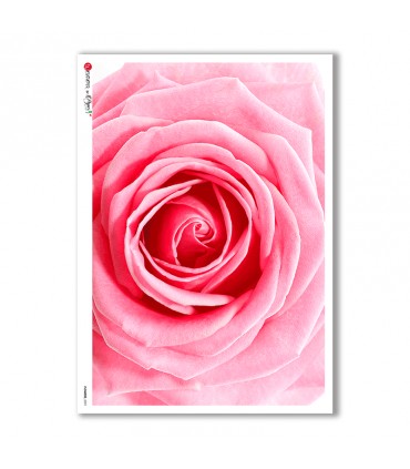 FLOWERS-0021. Carta di riso fiori per decoupage.