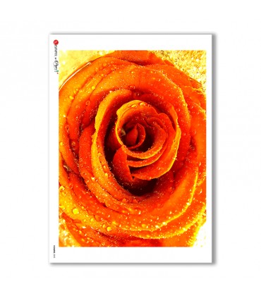 FLOWERS-0025. Rice Paper flowers for decoupage.