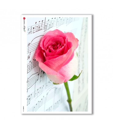 FLOWERS-0026. Rice Paper flowers for decoupage.