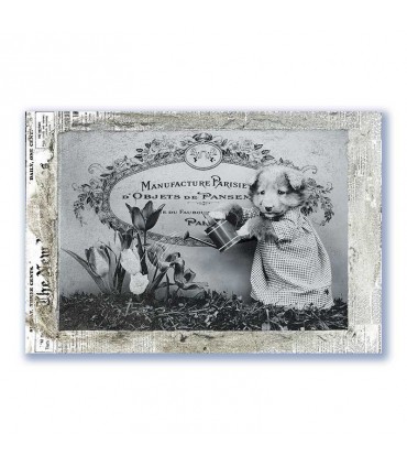 GF-OLD PHOTOS-008. Rice paper large format