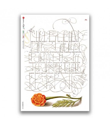 CALLIGRAPHY-0002. Carta di riso calligrafia per decoupage.