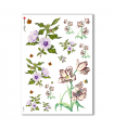 FLOWERS-0039. Carta di riso vittoriana fiori per decoupage.