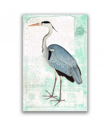 GF-ANIMALI-047. Papel de arroz de gran tamaño