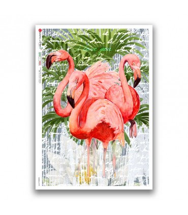 ANIMALS-0199. Carta di riso animali per decoupage.