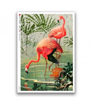 ANIMALS-0200. Animals Rice Paper for decoupage.