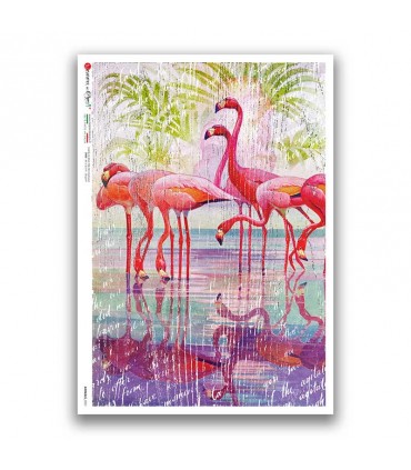 ANIMALS-0201. Animals Rice Paper for decoupage.