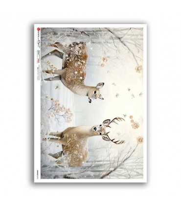 ANIMALS-0212. Animals Rice Paper for decoupage.