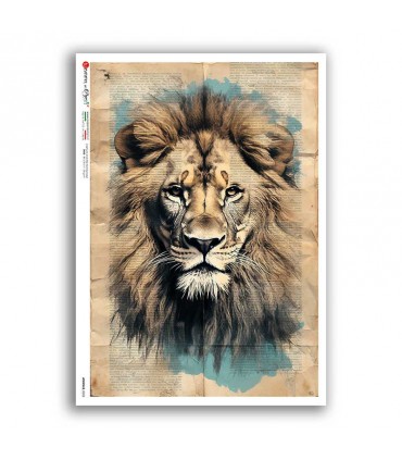 ANIMALS-0225. Animals Rice Paper for decoupage.