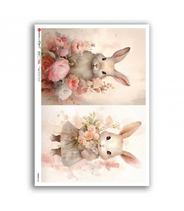 ANIMALS-0227. Animals Rice Paper for decoupage.