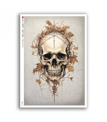 SKULL-0043. Carta di riso teschi per decoupage.