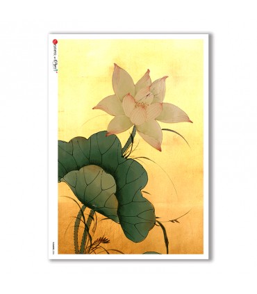 FLOWERS-0086. Carta di riso fiori per decoupage.