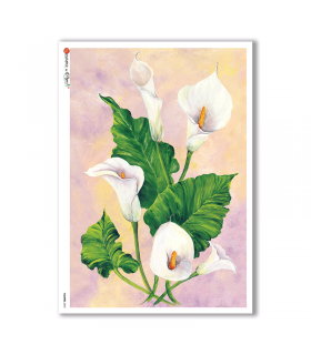 FLOWERS-0093. Carta di riso fiori per decoupage.