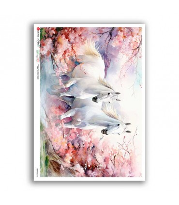 ANIMALS-0246. Papel de Arroz animales para decoupage.