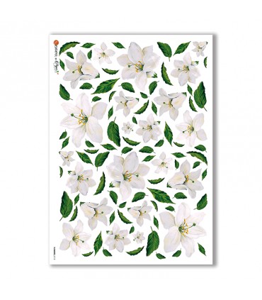 FLOWERS-0112. Carta di riso fiori per decoupage.