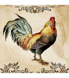 COUNTRY. Grande formato